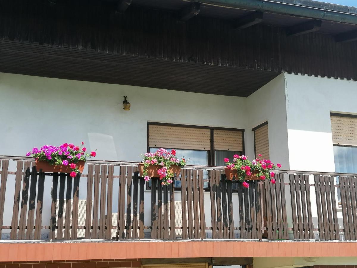 Apartments Novak Ljubno Buitenkant foto