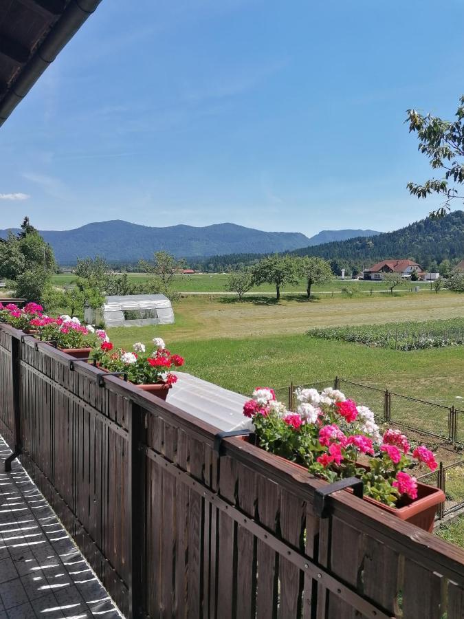 Apartments Novak Ljubno Buitenkant foto