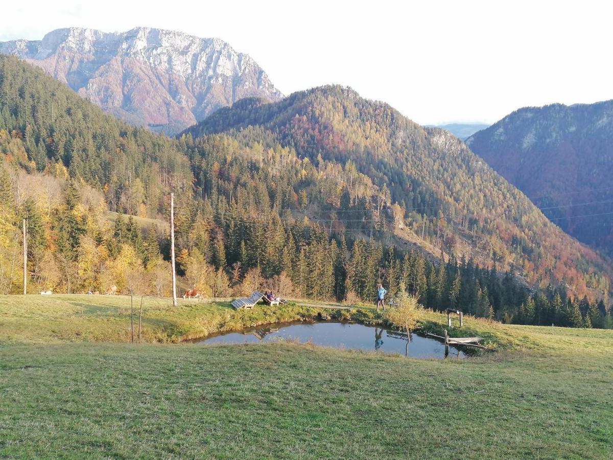 Apartments Novak Ljubno Buitenkant foto